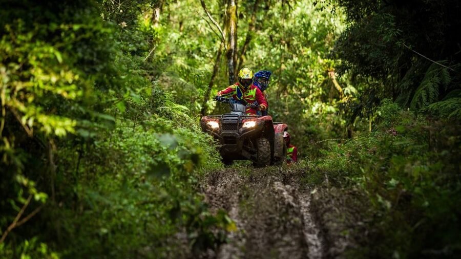 Istanbul: Belgrad Forest ATV Tour with Ziplining Option - Key things to know before you go