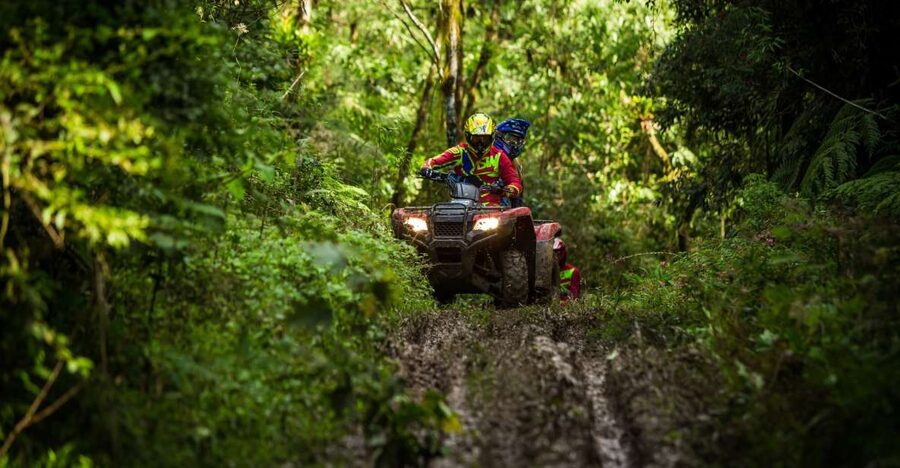 Istanbul: Belgrad Forest ATV Tour with Ziplining Option - Why Belgrad Forest ATV Works as a Half-Day Escape