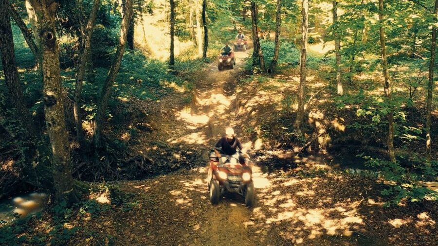 Istanbul: Belgrad Forest ATV Tour with Ziplining Option - Getting to the Forest: Sultanahmet or Taksim Pickup and the Bus Ride