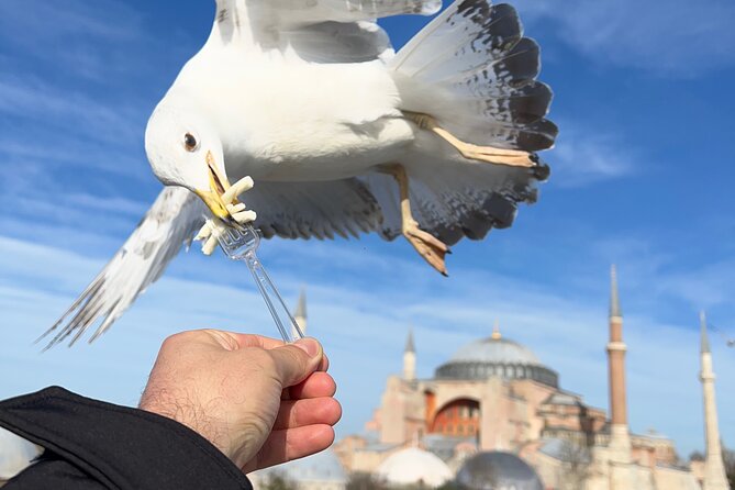 ISTANBUL BEST: Iconic Landmarks Full Day PRIVATE Guided City Tour - Key highlights worth centering on