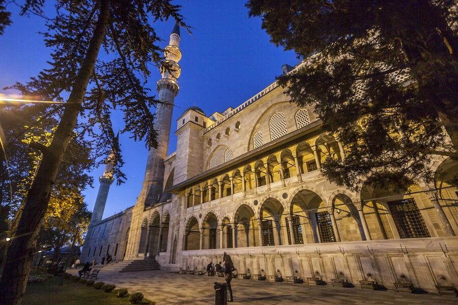 Istanbul: Best of the City Private Full-Day Walking Tour - Sultan Ahmed Mosque: a focused one-hour stop