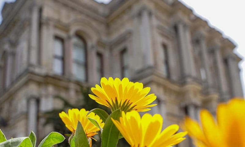 Istanbul: Beylerbeyi Palace Skip-the-Line Ticket & Audio … - Timing: Planning a 1-Hour Visit With All-Day Validity