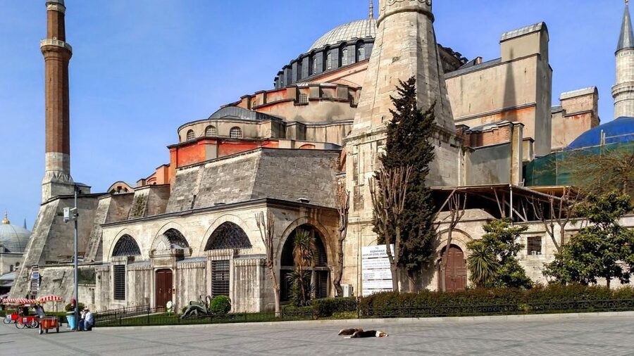 Istanbul: Blue Mosque & Hagia Sophia Guided Tour w/ Tickets - Pacing and photo time: how a 2.5 to 3 hour visit stays enjoyable