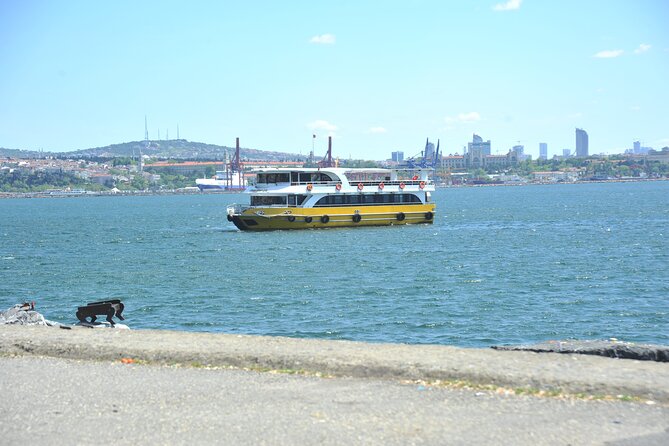 Istanbul: Bosphorus and Golden Horn Cruise with Audio Guide - Bridges and Fortress Pairs: Why the Fatih Sultan Mehmet Area Matters