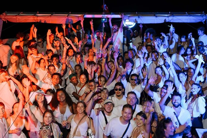 Istanbul Bosphorus Boat Party with Live DJs - Photo and Comfort Tips for a DJ Night on Water