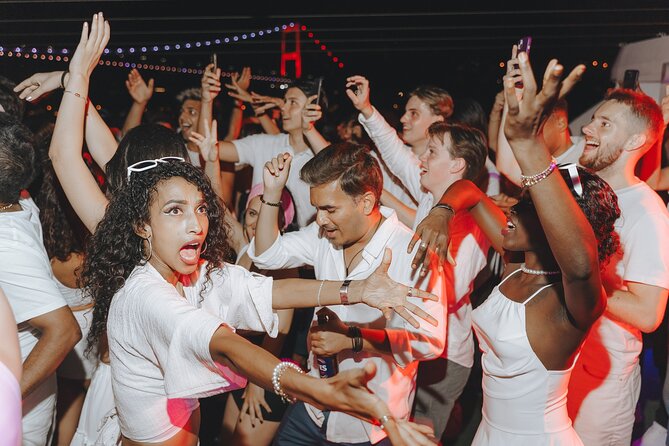 Istanbul Bosphorus Boat Party with Live DJs - Who Should Book This, and Who Might Prefer Something Quieter