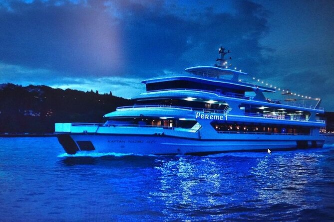 Istanbul Bosphorus Cruise Dinner, Drinks & Show with Pickup - The Turkish night show: culture, dancing, and tricky sightlines