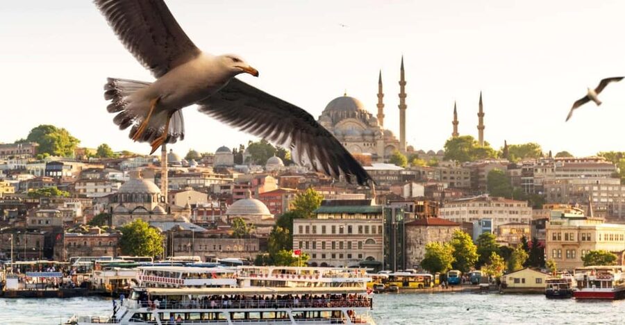 Istanbul: Bosphorus Dinner Cruise with Private Table & Show - Quick hits before you go