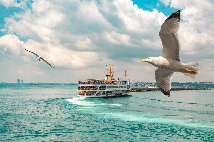 Istanbul: Bosphorus Strait Sightseeing Cruise & Audio Guide - Live guide vs mobile audio: how to hear the story without frustration