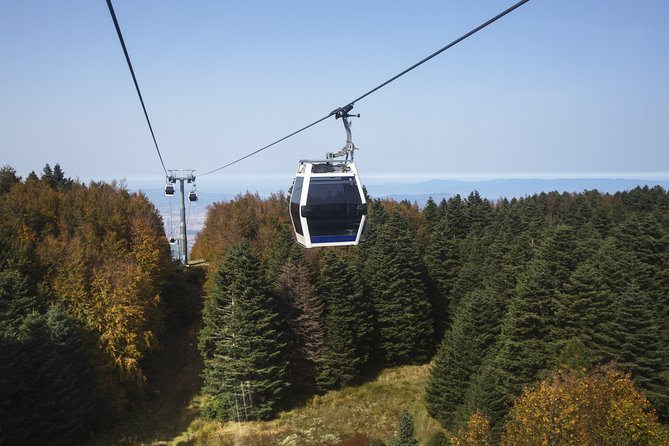 Istanbul: Bursa and Uludag Mountain Day Trip with Cable Car - Group size, guide style, and how to keep control of your schedule