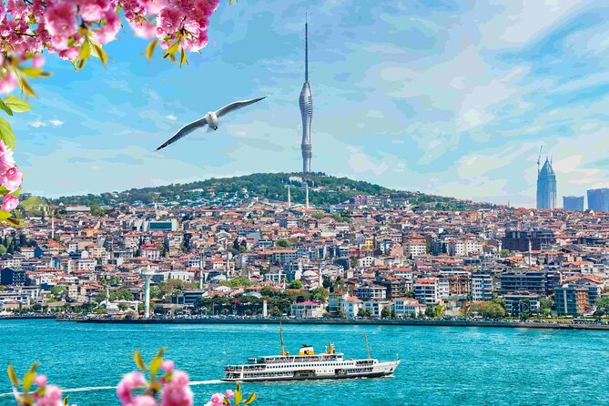 Istanbul Camlica Tower: Private Entry, Transfer & Dine Choices - Who should book this Camlica Tower private experience