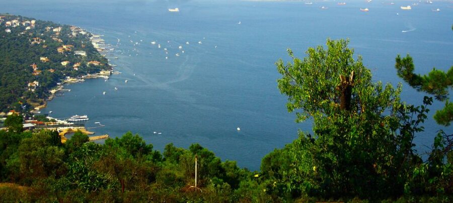 Istanbul: Day Trip to the Princes' Islands - Key things to know before you go to Büyükada
