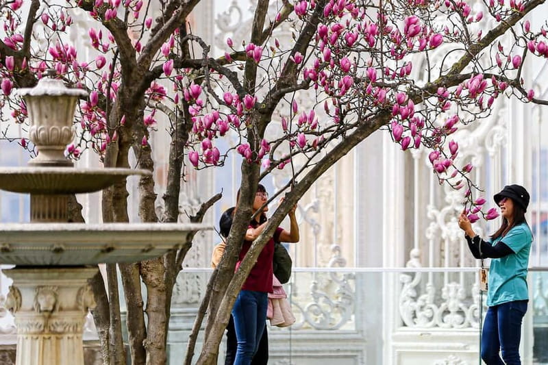 Istanbul: Dolmabahce Palace and Harem Fast-Track & Audio - Who This Ticket Suits Best (and Who Might Prefer Another Option)