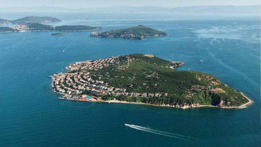 Istanbul: Full Day Princes Islands Guided Tour with Lunch - Summer Swimming: Where the Fun Is, and the Hidden Cost Risk