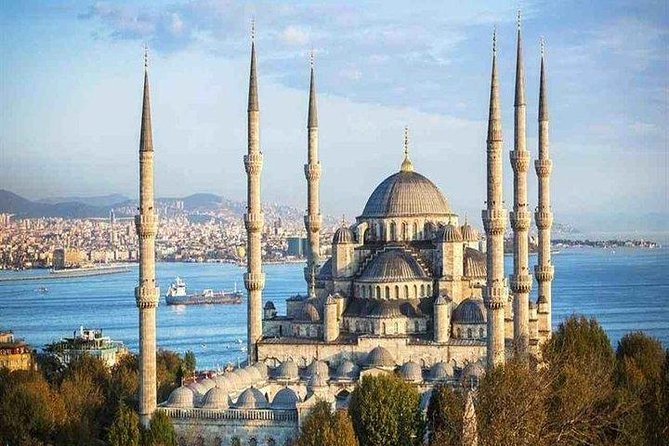 ISTANBUL: Full-Day Private Tour with Top Attractions - The price, split across your group, plus what to budget separately