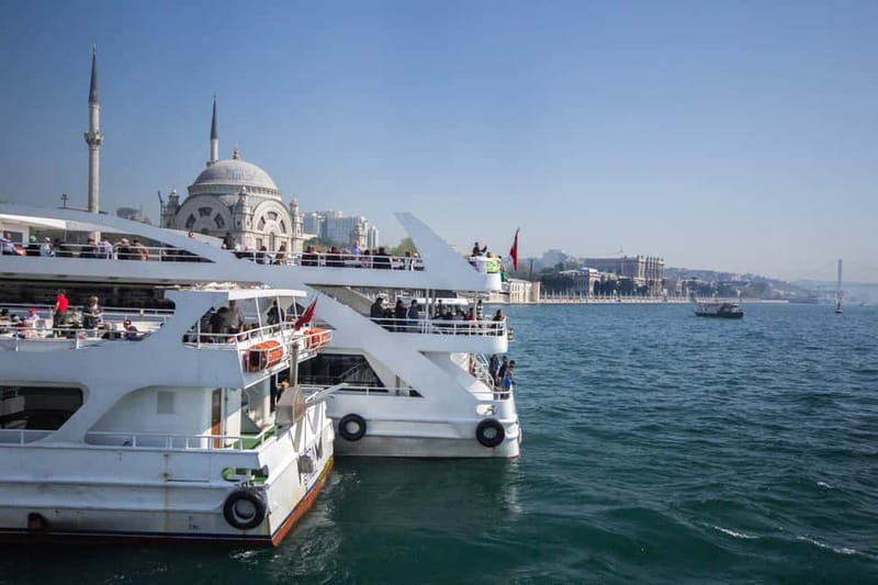 Istanbul: Full-Day Tour with Dolmabahce & Bosphorus Cruise - Who should book this tour, and who should skip it