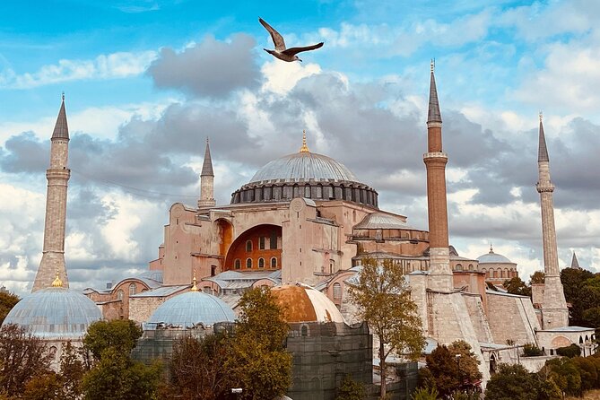 Istanbul Morning Old Town Tour or Afternoon with Bosphorus Cruise - Quick Hits Before You Go