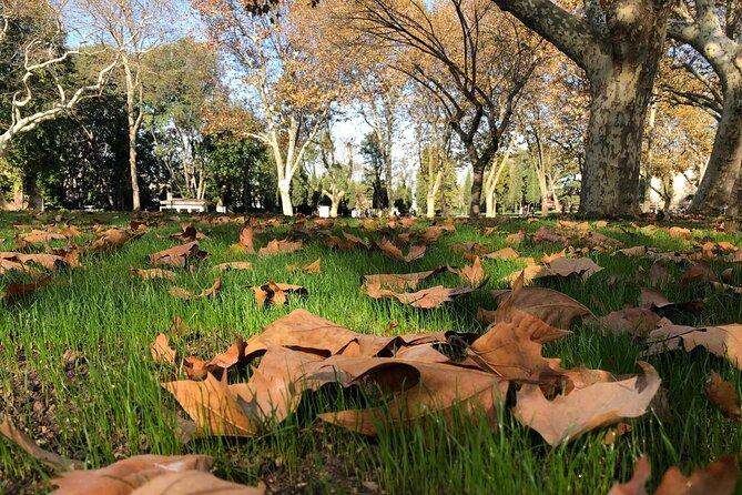 Istanbul Morning Old Town Tour or Afternoon with Bosphorus Cruise - Gülhane Park and Topkapi Gardens: A Breathing Space Before the Classics