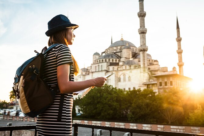 Istanbul Mosques Walking Tour: Hagia Sophia and Blue Mosque - Blue Mosque: the Sultan Ahmed tiles and what to do during renovation