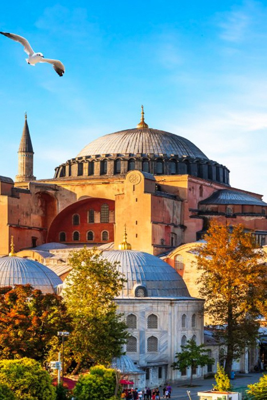 Istanbul: Old City Full-Day Tour -(Entry Fees Inculucing) - Sultan Tombs, Ceramics with Purple, Green, Blue, Red Flower Motives