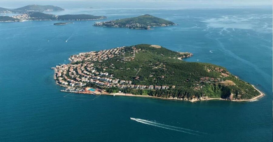 Istanbul Prince Island Cruise with Lunch & Free Time - What You Get on Board: Audio in Multiple Languages and Sea Views