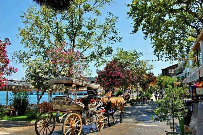 Istanbul Princes Island Tour with Lunch & Hotel Transfer - Quick Takes Before You Go