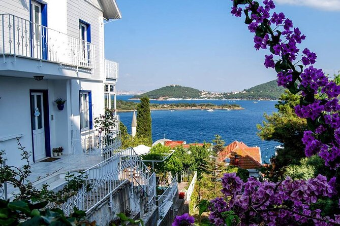 Istanbul Princes Island Tour with Lunch & Hotel Transfer - Price and Value: Is $29.42 Good Here