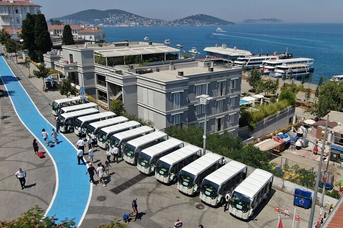 Istanbul Princes Island Tour with Lunch & Hotel Transfer - Lunch on the Boat: Open Buffet, Watch the Details