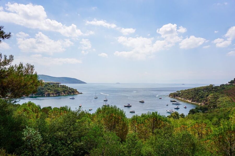 Istanbul: Princes' Islands Cruise w/Music, Lunch & Transfer - Key things to know before you go