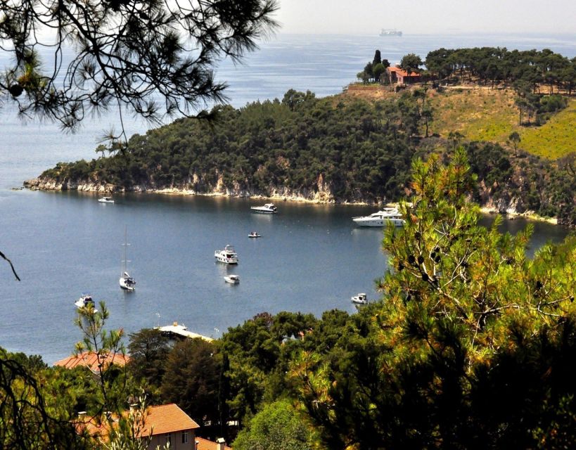 Istanbul: Princes' Islands Tour with Lunch and Transfers - Buyukada on foot: mansions, bays, pines, and easy island wandering