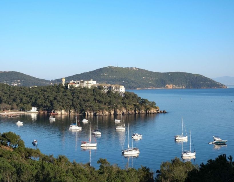 Istanbul: Princes' Islands Tour with Lunch and Transfers - Return trip energy, plus the 30 minutes of shopping time
