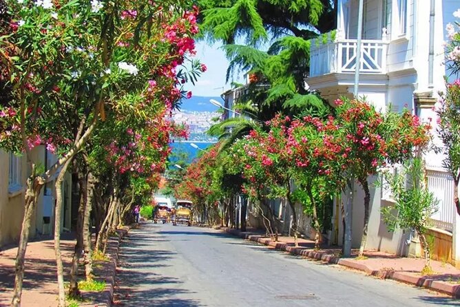 Istanbul Princess Island Tour Include Lunch and Island Car Trip - Key Highlights to Know Before You Go