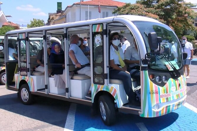 Istanbul Princess Island Tour Include Lunch and Island Car Trip - Lunch at Fortunato Cafe and Restaurant: Good Food, But Watch the Cat Factor