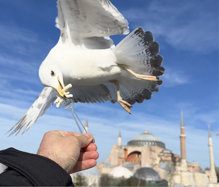 Istanbul: Private City Tour with Transportation - Hagia Irina Church and the 4th-Century Thread