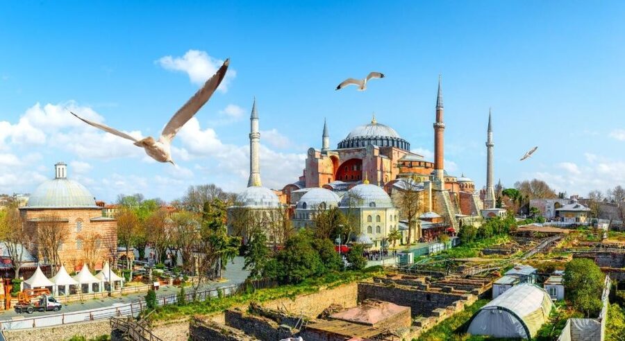 Istanbul: Private Guided Walking Tour - Grand Bazaar: browsing with a guide, so it stays fun