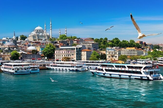 Istanbul Private Tour from Cruise Port - Hagia Sophia and Basilica Cistern Fees: Plan for the $70 Budget