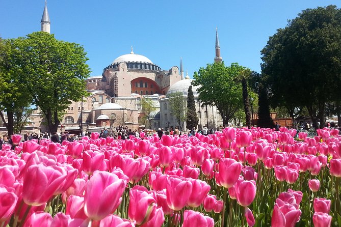 Istanbul Private Tours: 1, 2 or 3 Day Highlights - Hagia Sophia Grand Mosque: the history lesson with the biggest dome in town
