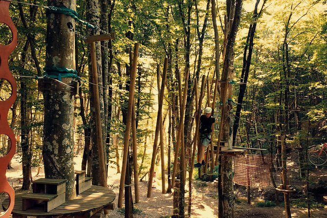 Istanbul Quad Bike Safari with Optional Zipline Experience - Belgrad Forest Routing: Why This Feels Different Than City Sightseeing