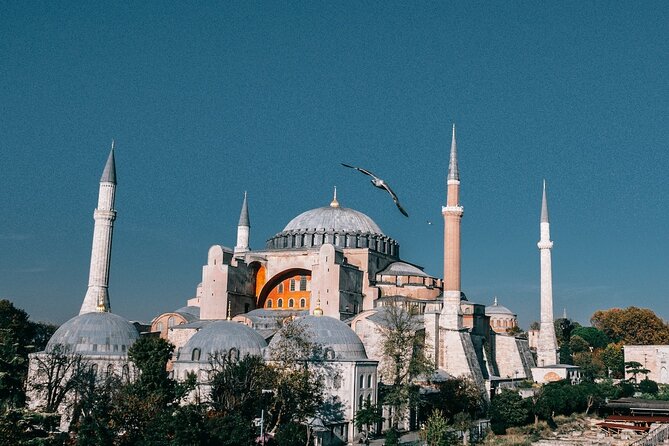 Istanbul Shore Excursion by TRAM: Half Day Private Tour from Port - Hippodrome photo stops: Egypt’s obelisk, Delphi’s column, Wilhelm II’s fountain
