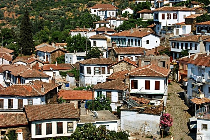 Istanbul to Ephesus Full Day Guided Tour, Flight and Lunch incl. - Temple of Artemis: short stop, good angles, great context