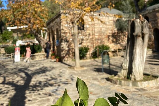 Izmir to Private Ephesus - Artemission Temple-Mother Mary's House - Price and Value: What the $199 Gets You
