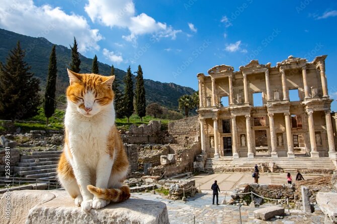 Journey to Ancient Wonders: Explore Ephesus with a Private Tour - Ephesus Museum stop: the core sights in one focused run
