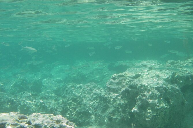 Kekova Private Full-Day Boat Trip - Kekova Island Bays and Fruit on Board