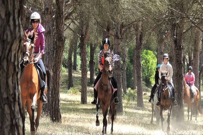 Kemer Horse Safari Experience With Free Hotel Transfer - Logistics that matter on the day