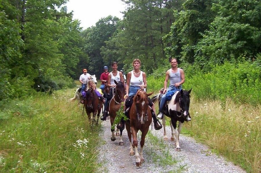 Kemer Horse Safari, pick up from Kiris, Beldibi, Goynuk - The Brief Lesson for Beginners: What You Need to Know