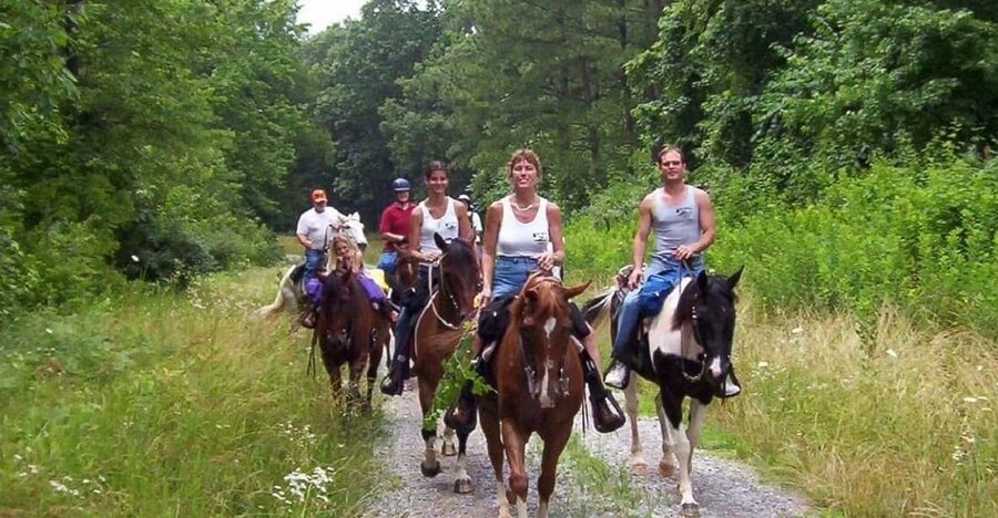 Kemer Horse Safari, pick up from Kiris, Beldibi, Goynuk - The 1-Hour Horse Safari Through Kemer Forest
