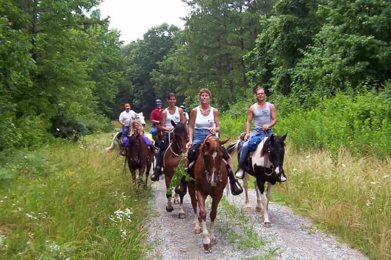 Kemer Horse Safari, pick up from Kiris, Beldibi, Goynuk - Pickup Windows and Timing That Actually Help You Plan