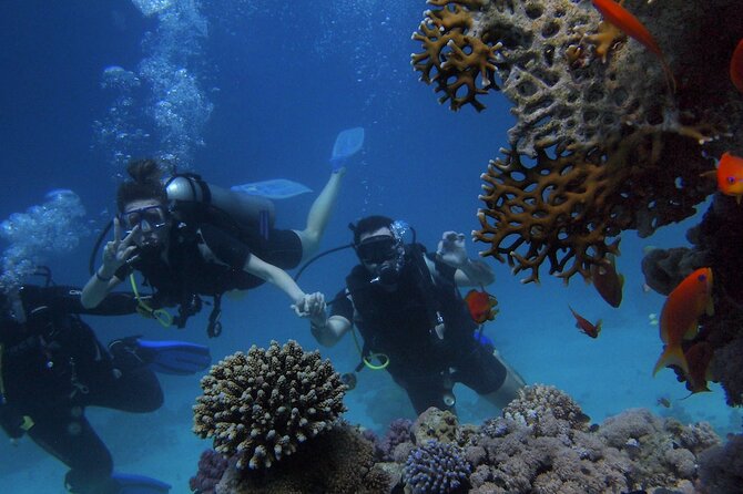 Kemer Scuba Diving Experience: Two Dives with Lunch - Who should book this Kemer scuba day