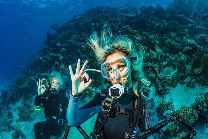 Kemer Scuba Diving Experience: Two Dives with Lunch - From meeting point to boat: how the team sets you up