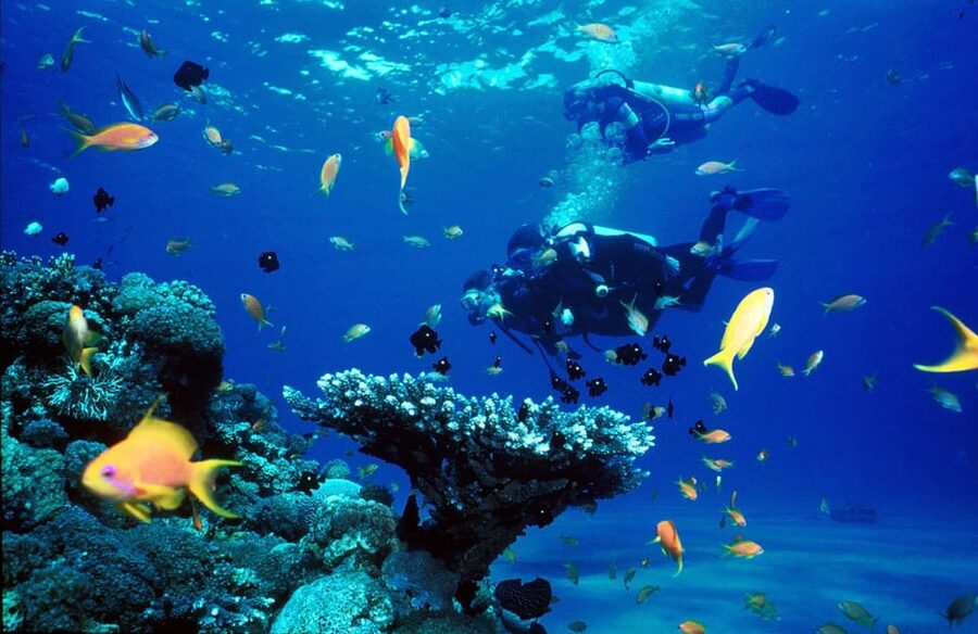Kemer Scuba Diving with Expert Diving Option - The Expert Option for Certified Guests (Up To 30 Metres)